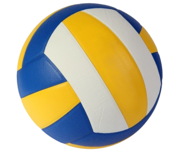 Volleyballs